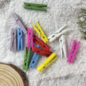 Wooden Clips (Colourful)