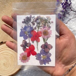 Dried Pressed Flowers – Purple