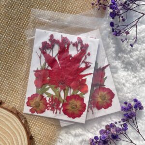 Dried Pressed Flowers – Red