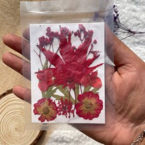 Dried Pressed Flowers – Red