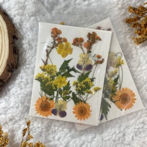 Dried Pressed Flowers - Yellow