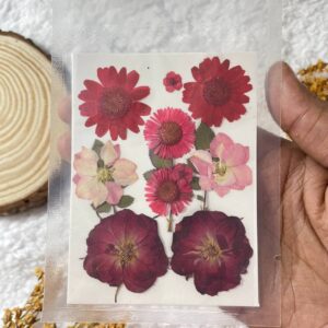 Dried Pressed Flowers – Dark Red