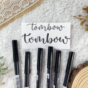 Tombow Dual Tip Brush Pen (Black)