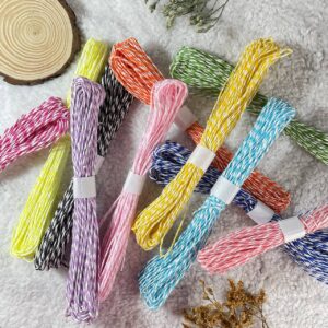 Paper Thread (Colourful) [Set of 2]