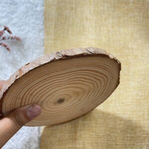 Wooden Slice – Large