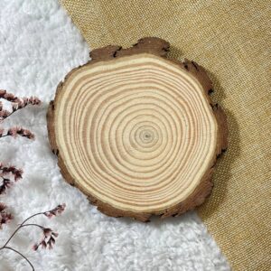 Wooden Slice - Medium