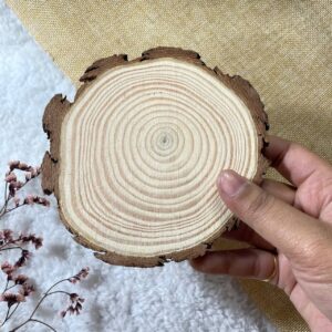 Wooden Slice – Medium